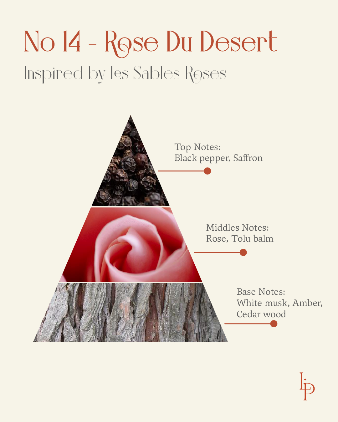 No 14 - ROSE DU DÉSERT