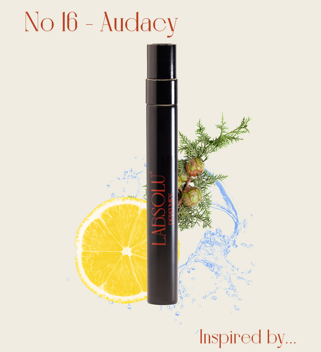 No 16 - AUDACY