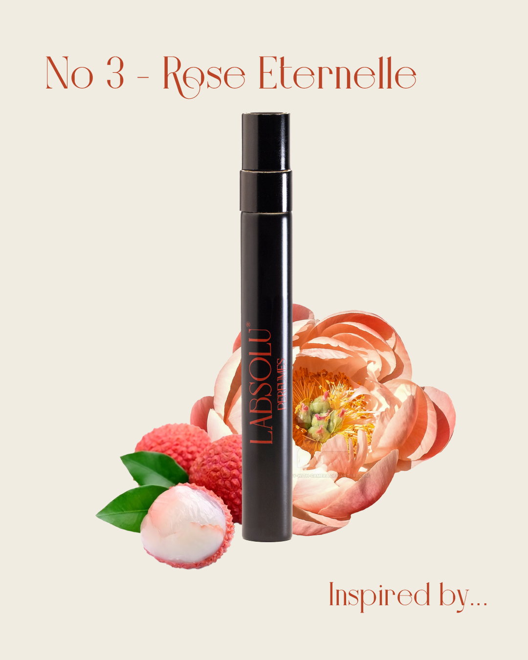 No 03 - ROSE ETERNELLE